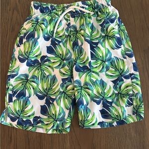Green and Blue Swim Trunks with Tropical Leaf Design